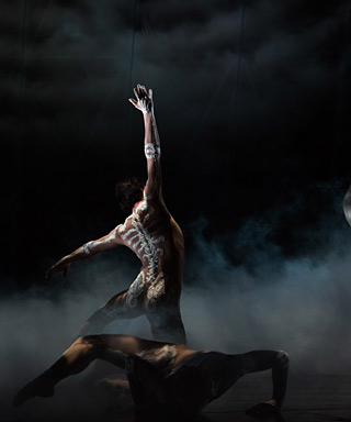 &copy; Agathe Poupeney