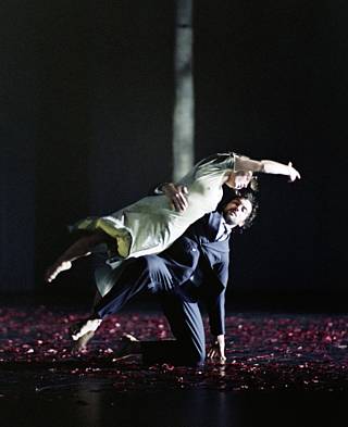 &copy; Herman Sorgeloos