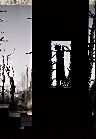 © Bertrand Stofleth
